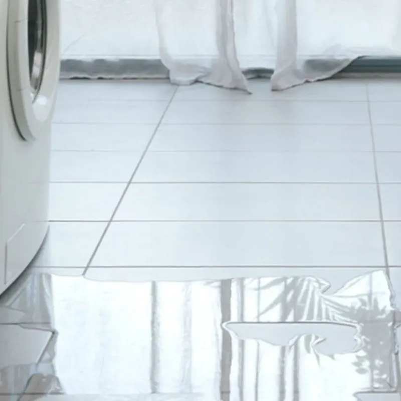 Appliance Leak Cleanup in Cowley County, KS