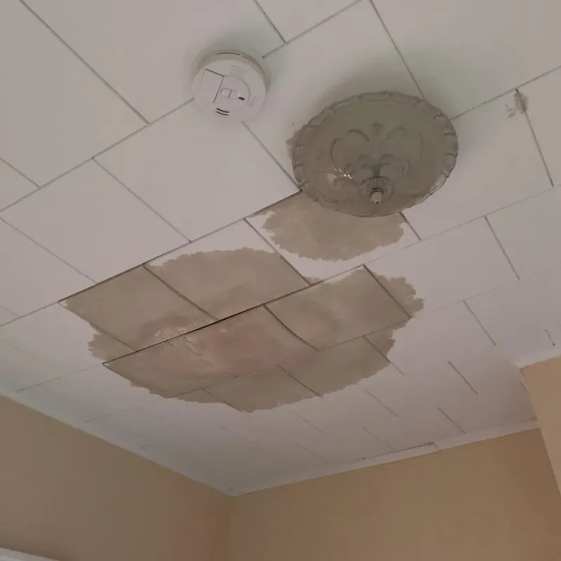 Ceiling Water Damage Repair in Cowley County, KS