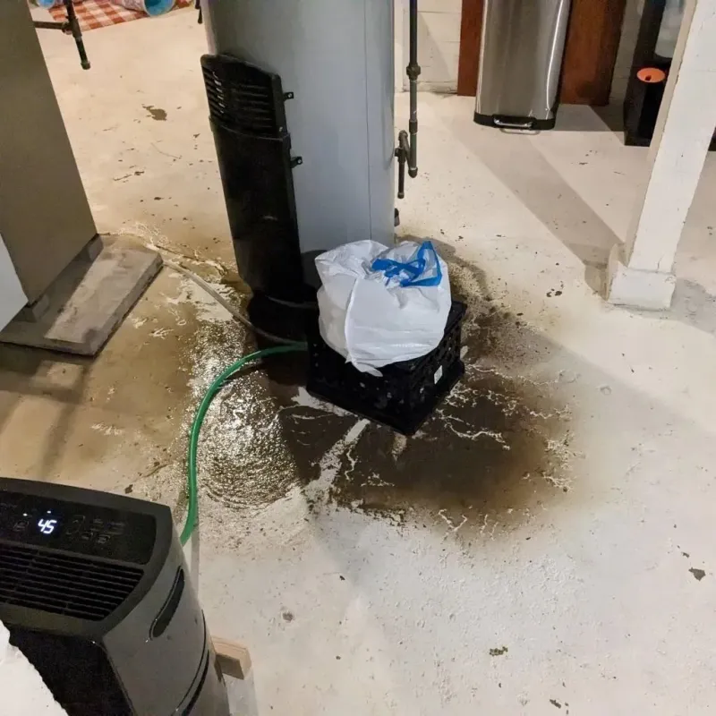 Sewage Backup Cleanup Service in Cowley County, KS